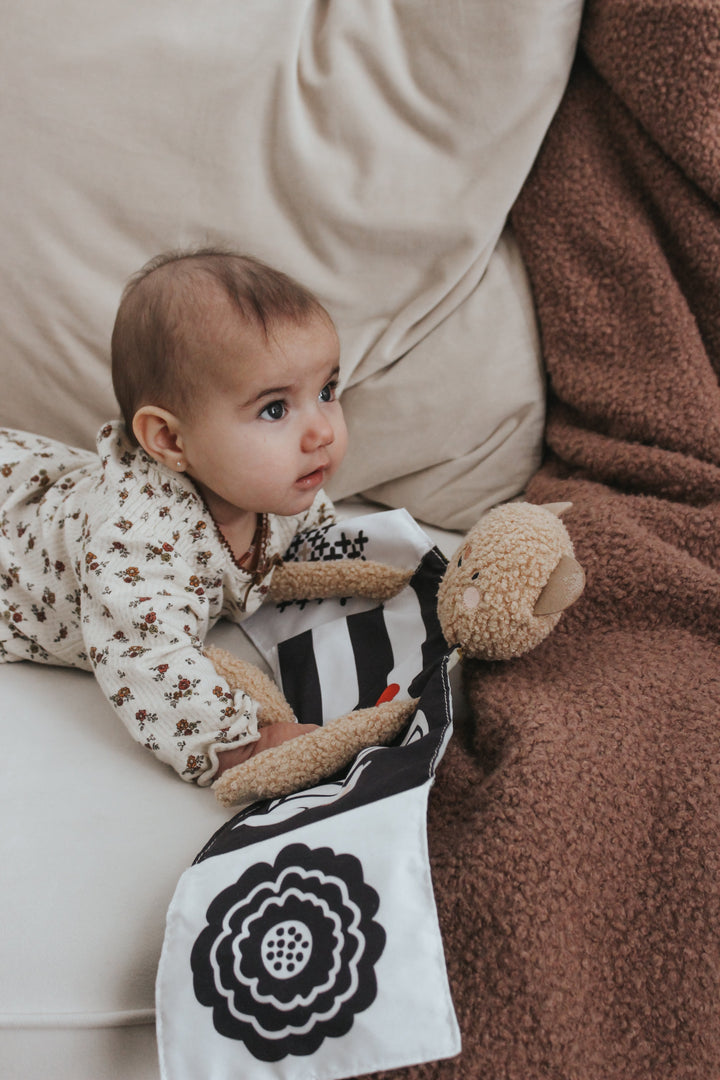 livre taf toys ourson câlin snuggle bear Mlle et Coco
