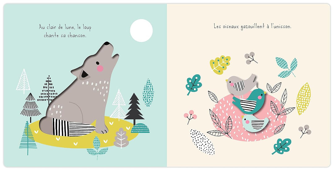 Livre les animaux de la forêt Kimane Mlle et Coco