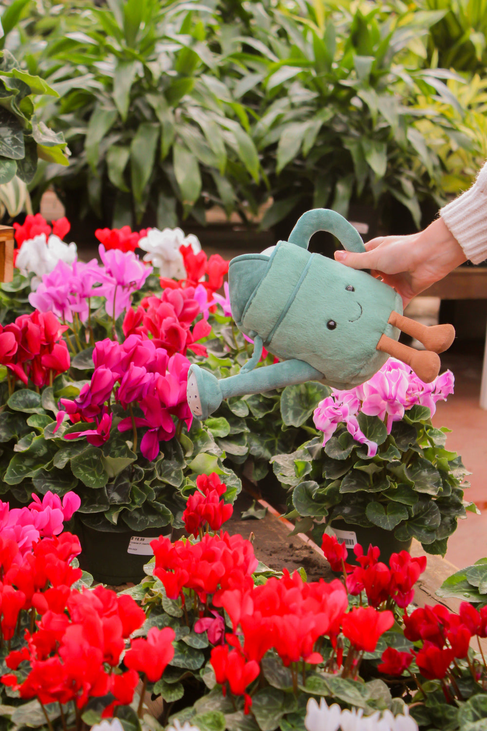 peluche amuseables watering can Jellycat Mlle et Coco