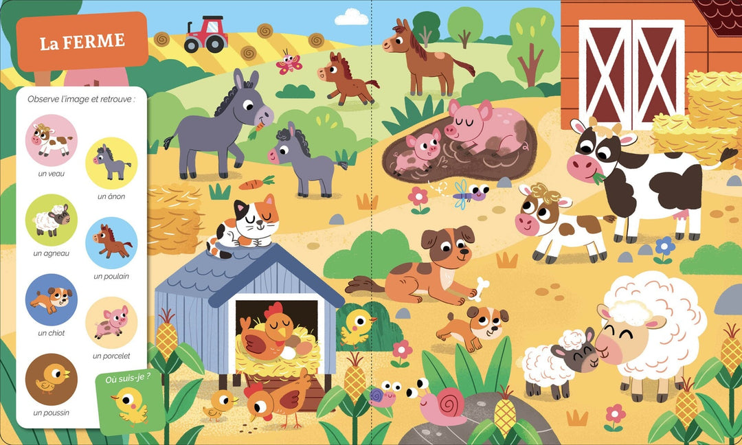 Livre cherche et trouve bébés animaux Auzou Mlle et Coco