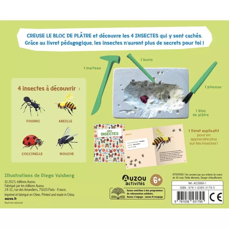 coffret mes insectes à déterrer jeu éducatif Auzou enfant