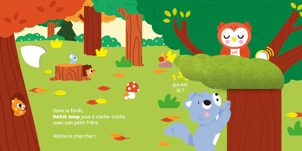 Livre sonore qui est là la forêt Auzou Mlle et Coco