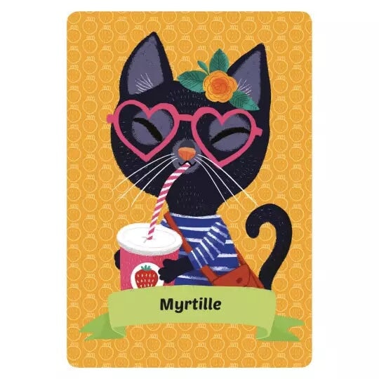 jeu de Mistigri chiens et chats auzou mémoire observation