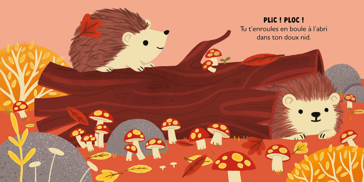 livre au coeur de la forêt Auzou Mlle et Coco 