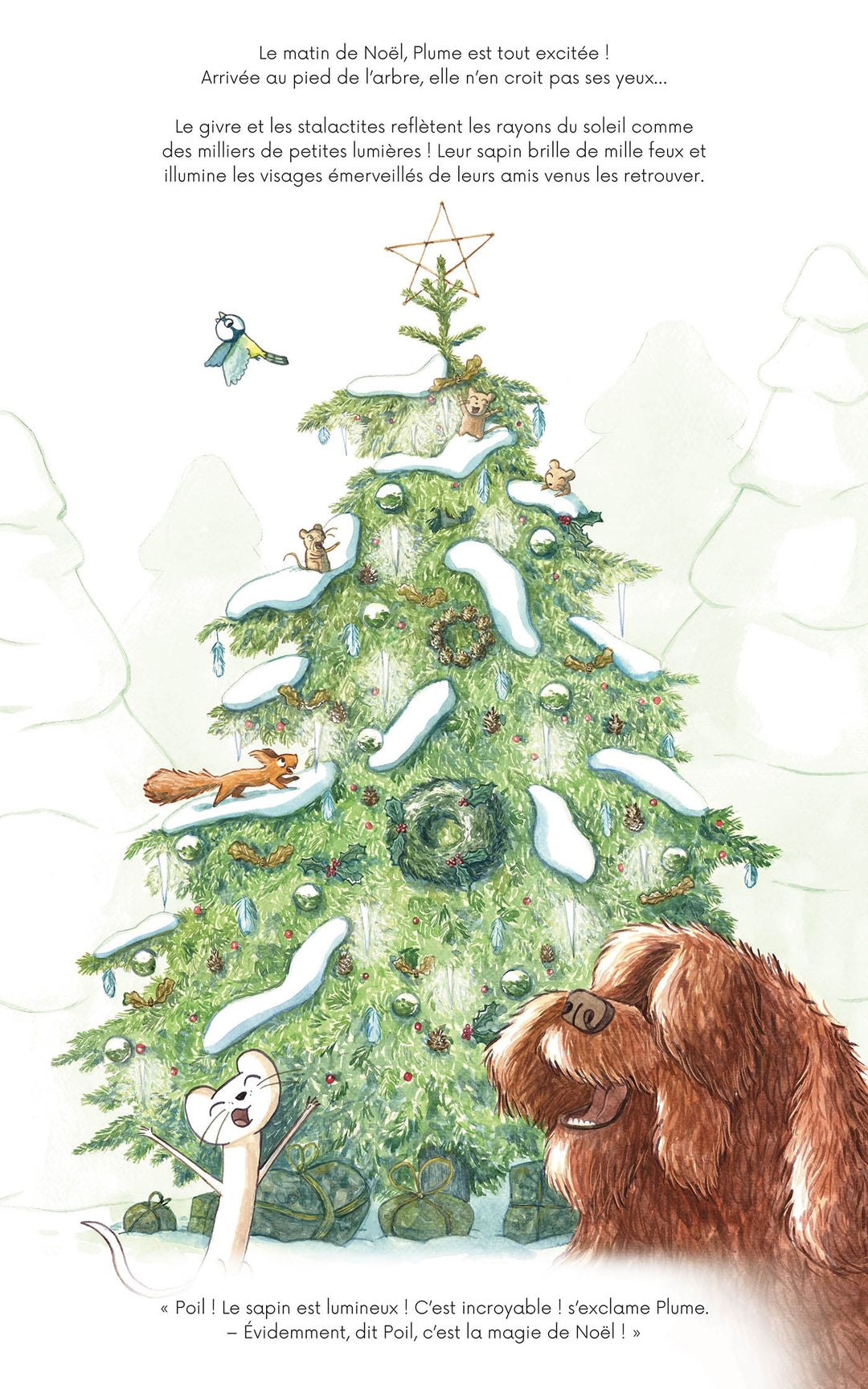 Livre Le Noël de Poil et Plume Auzou Éditions