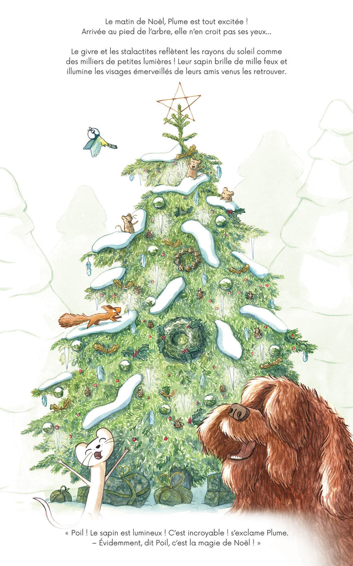 Livre Le Noël de Poil et Plume Auzou Éditions