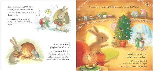 Livre Un toit pour noel, plume Auzou Mlle et Coco