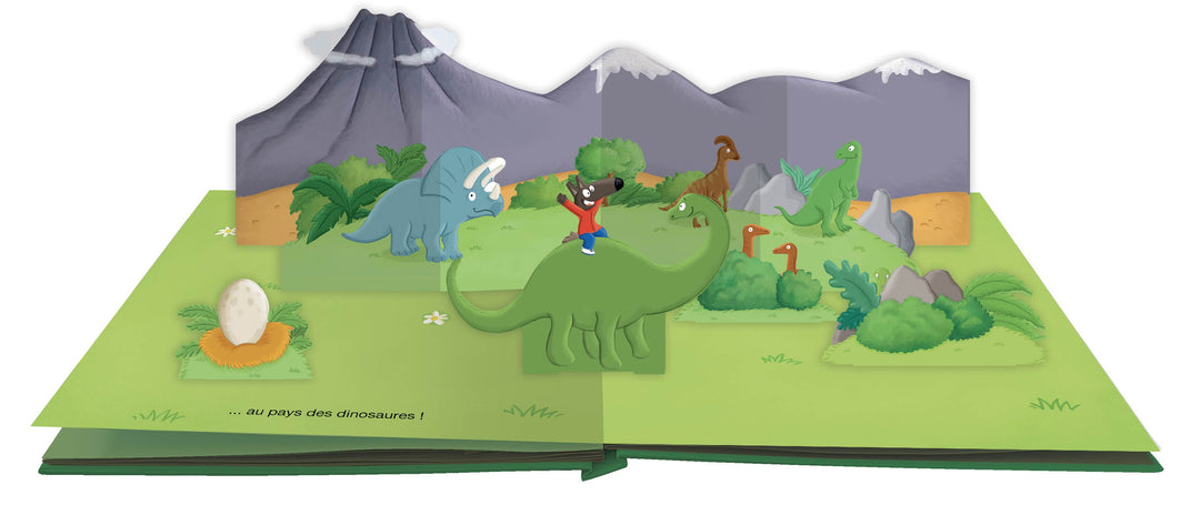 Livre P&