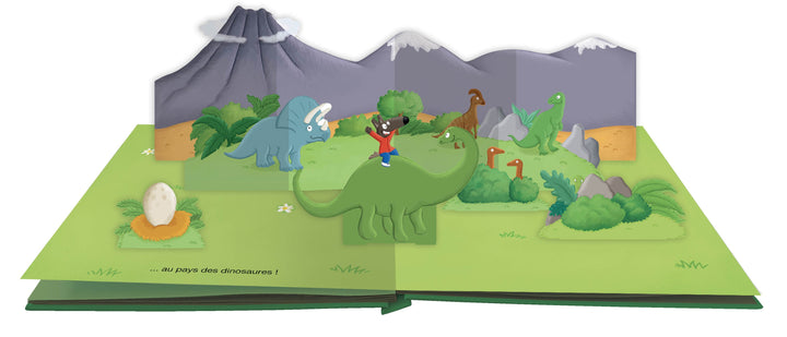 Livre P&
