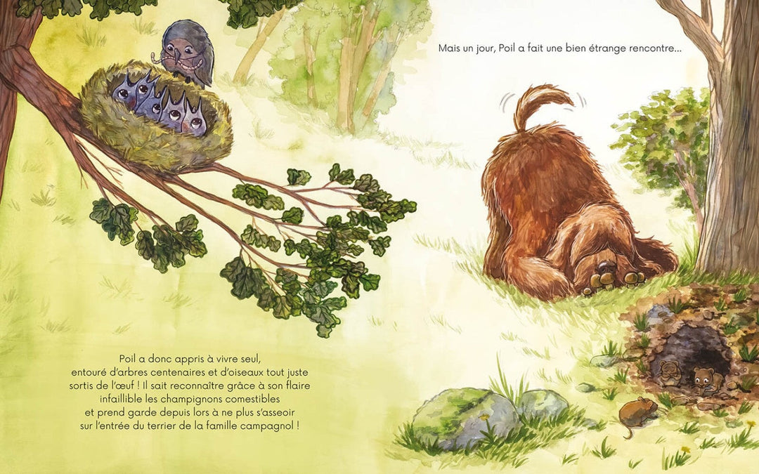 Livre Auzou Poil et Plume Mlle et Coco 