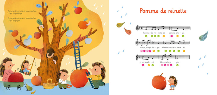 Livre musical Mes toutes premières comptines au piano Auzou éditions Mlle et Coco