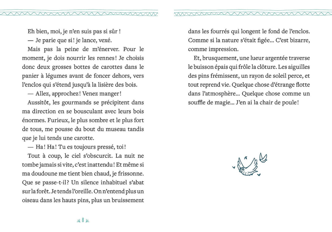 Mon roman de l&