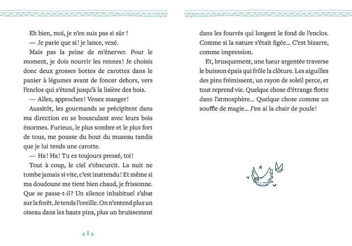Mon roman de l&