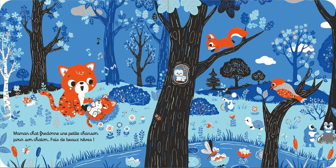 Livre Bonsoir les bébés animaux Nathan Mlle et Coco