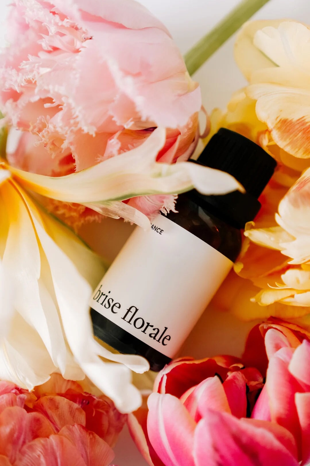 Fragrance pour balle de séchage brise florale Marée Chandelle Mlle et Coco