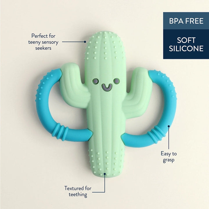 jouet dentition silicone cactus chew crew itzy ritzy