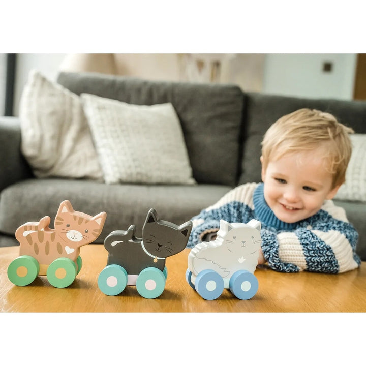 Ensemble de 3 chatons jouet à pousser Orange Tree Toys Mlle et Coco