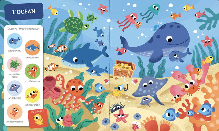 Livre cherche et trouve bébés animaux Auzou Mlle et Coco