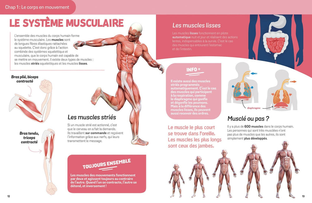 Le corps humain Livre apprentissage Auzou Mlle et Coco