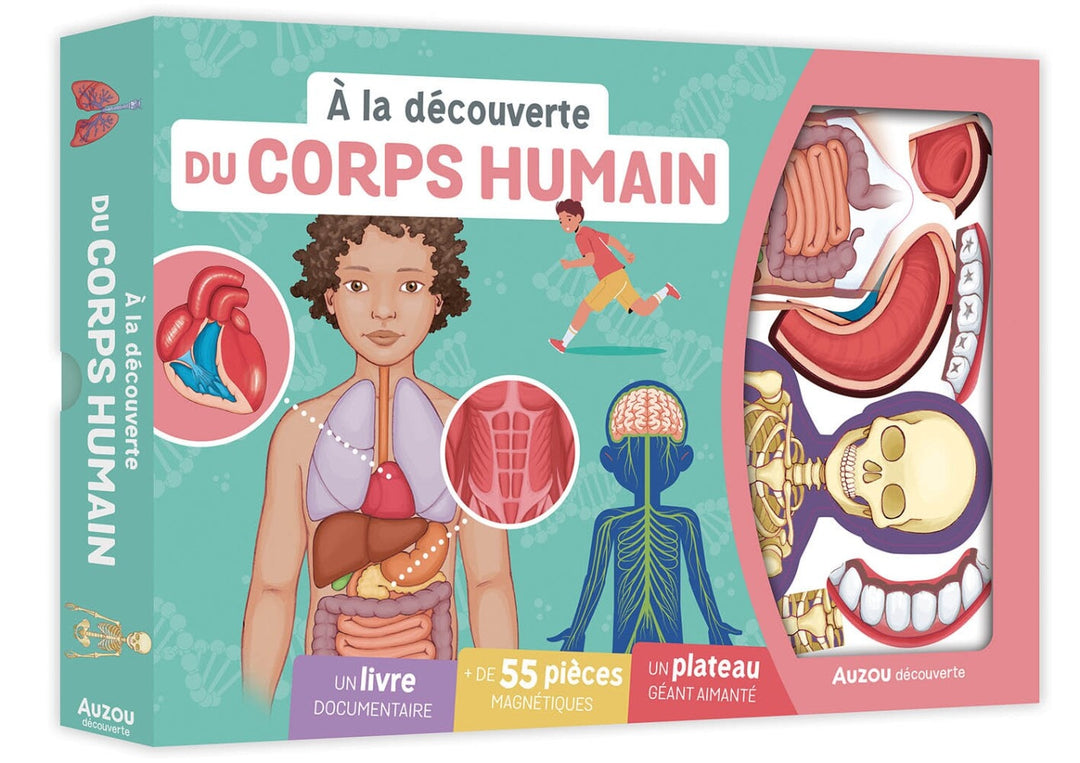 coffret à la découverte du corps humain auzou 