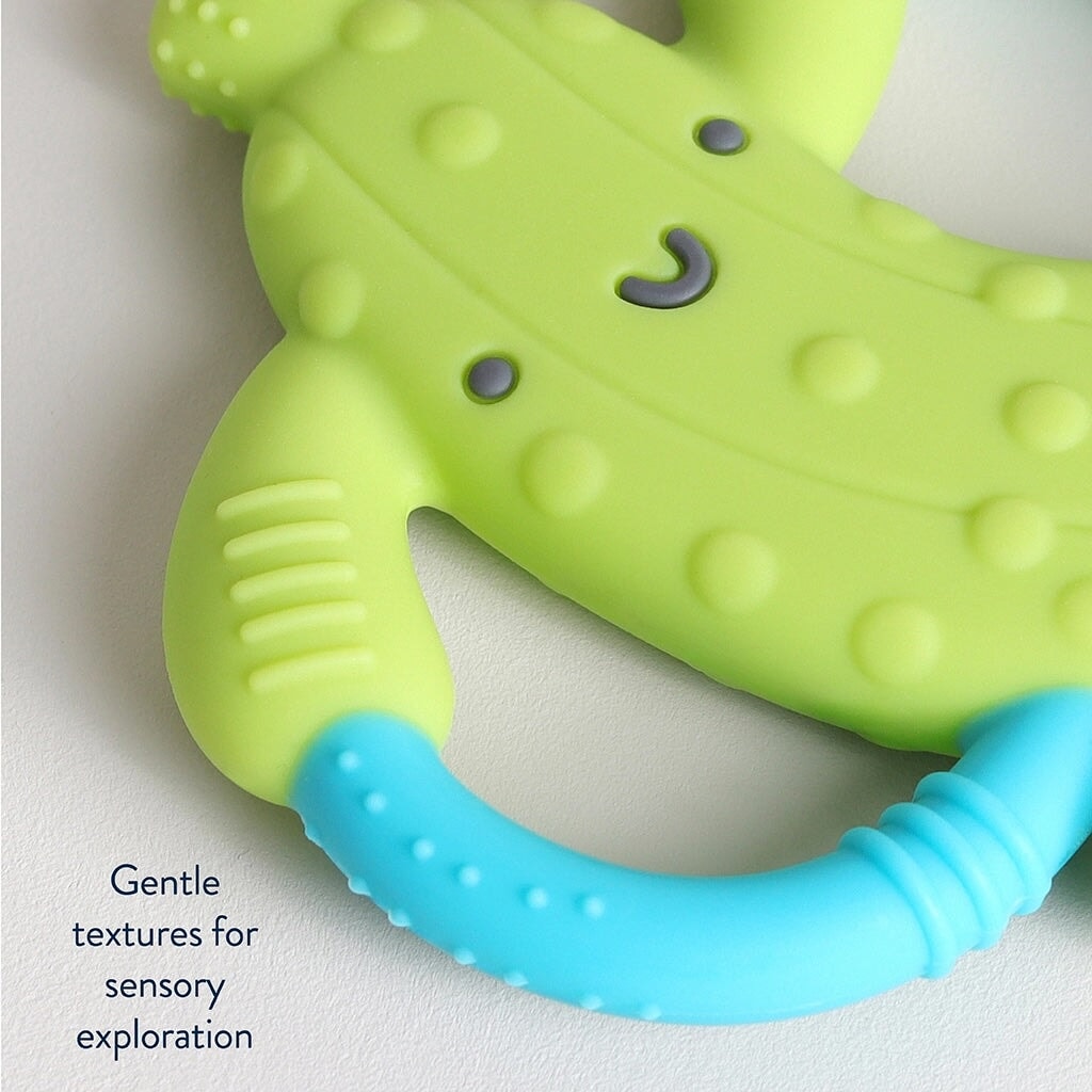 jouet dentition Parker le cornichon Mlle et Coco Itzy Ritzy