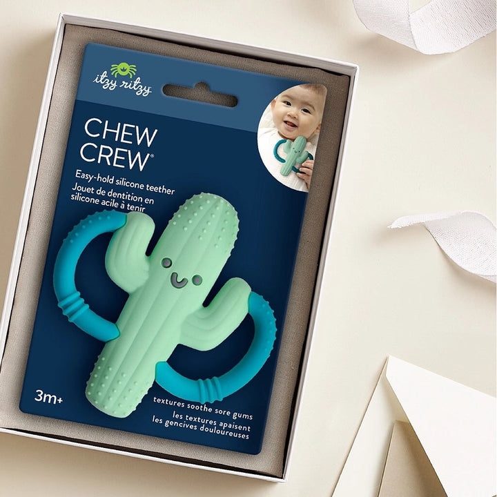 jouet dentition silicone cactus chew crew itzy ritzy