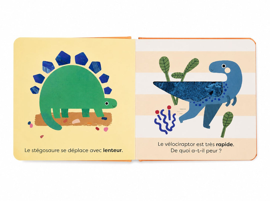 Livre Touche et découvre: Les dinosaures Kimane Mlle et Coco