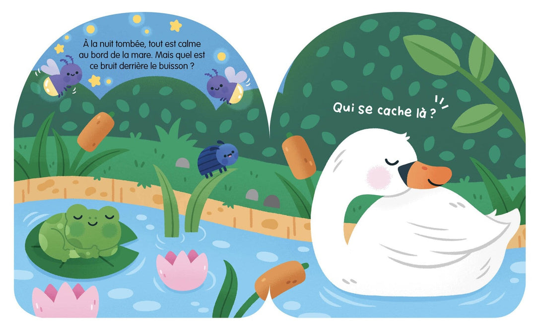 livre sonore qui fait dodo ici Auzou Mlle et Coco