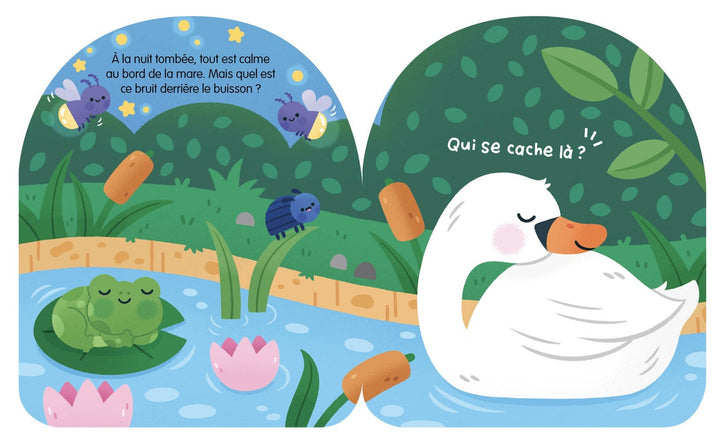 livre sonore qui fait dodo ici Auzou Mlle et Coco