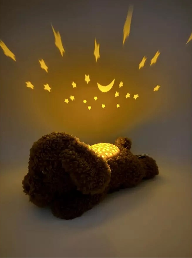 Veilleuse dream buddie poodle Bruno Cloud B Mlle et Coco
