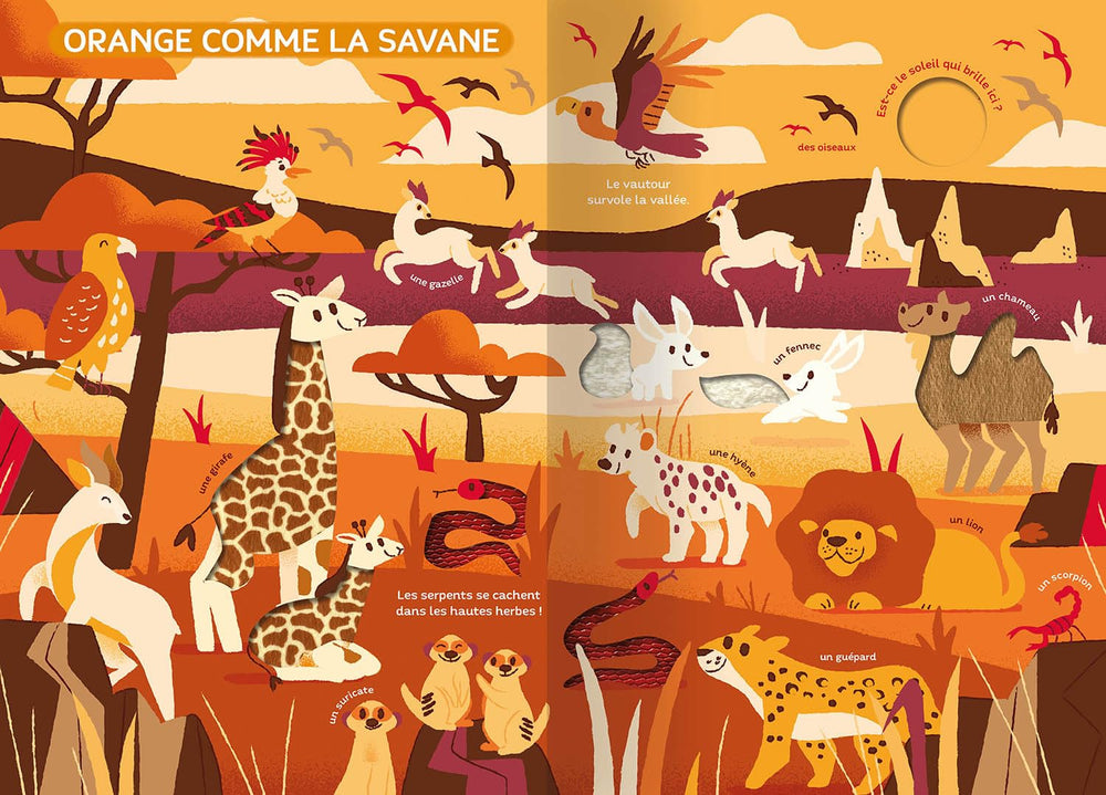 mon très grand livre d'éveil le monde des couleurs