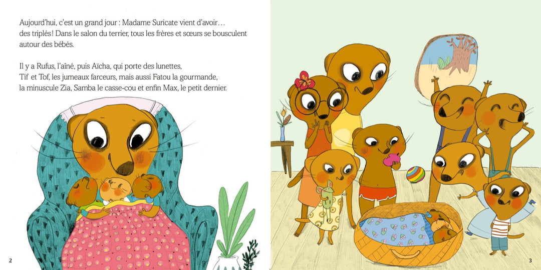 Livre Auzou - mes petits album- famille suricate déménage