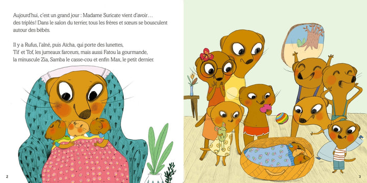 Livre Auzou - mes petits album- famille suricate déménage
