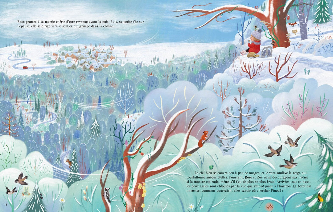 Livre la petite fée du Père Noël Auzou Mlle et Coco