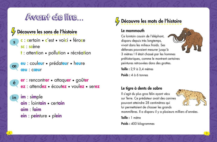 Collection héros de la 2e année: une rencontre préhistorique de Auzou. Aprentissage de a lecture