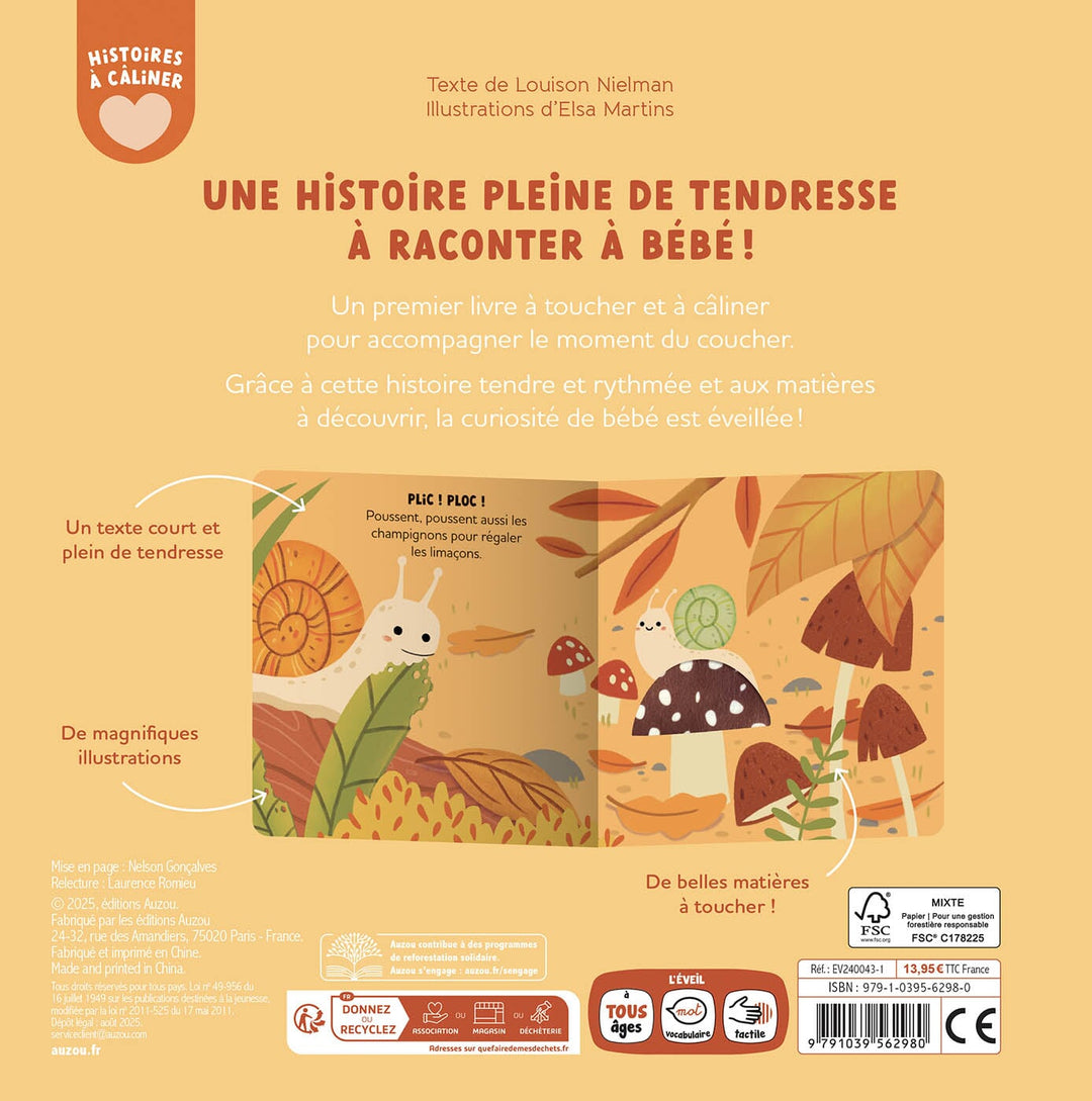 livre au coeur de la forêt Auzou Mlle et Coco 
