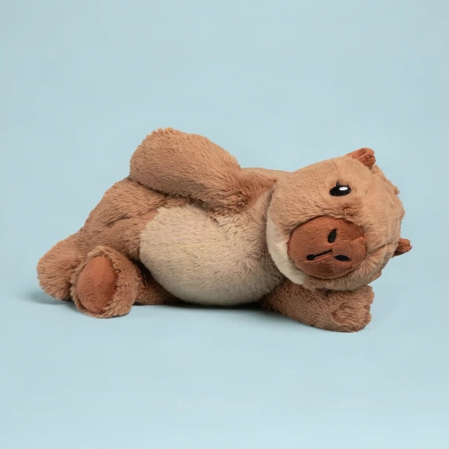 Peluche lestée Cam le capybara
Hugimals Mlle et Coco