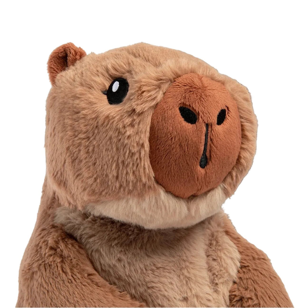 Peluche lestée Cam le capybara
Hugimals Mlle et Coco