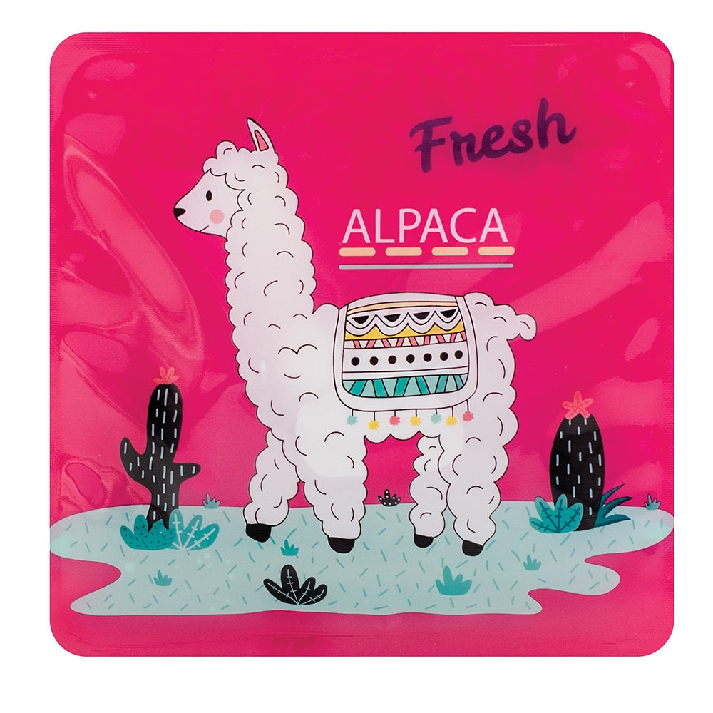 ice pack alpaca geocan accessoire boite lunch camp jour
