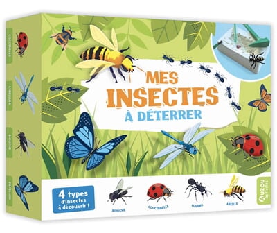 coffret mes insectes à déterrer jeu éducatif Auzou enfant