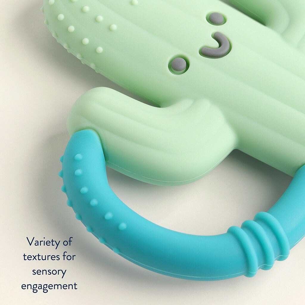 jouet dentition silicone cactus chew crew itzy ritzy