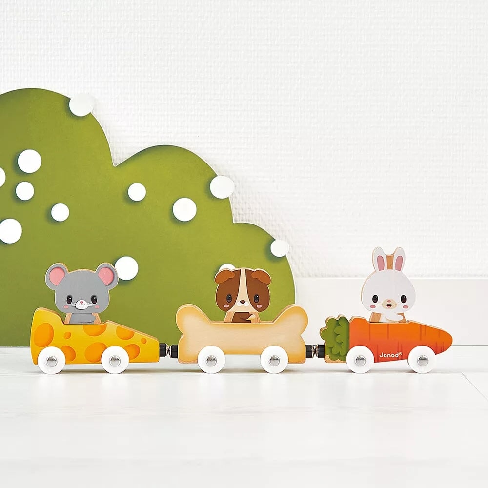 jeu magnétique Animaux familier lapin souris chien Janod