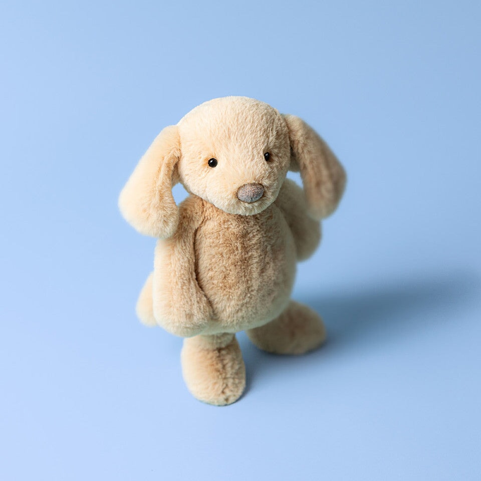 Peluche chien timide deluxe Orlando Jellycat Mlle et Coco