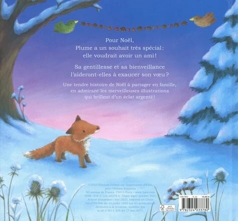 Livre Le Merveilleux Noêl de Plume Auzou Mlle et Coco