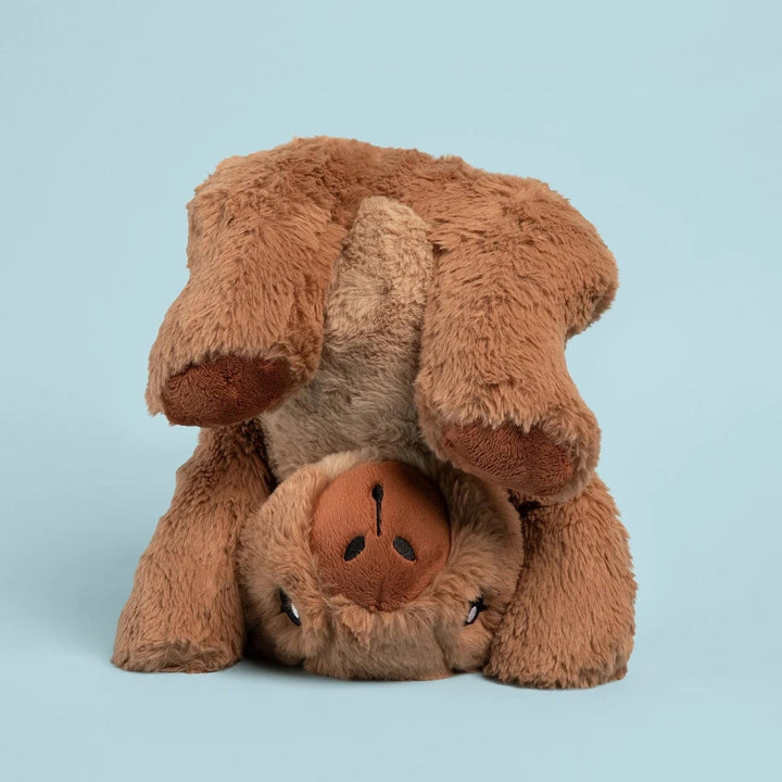 Peluche lestée Cam le capybara
Hugimals Mlle et Coco