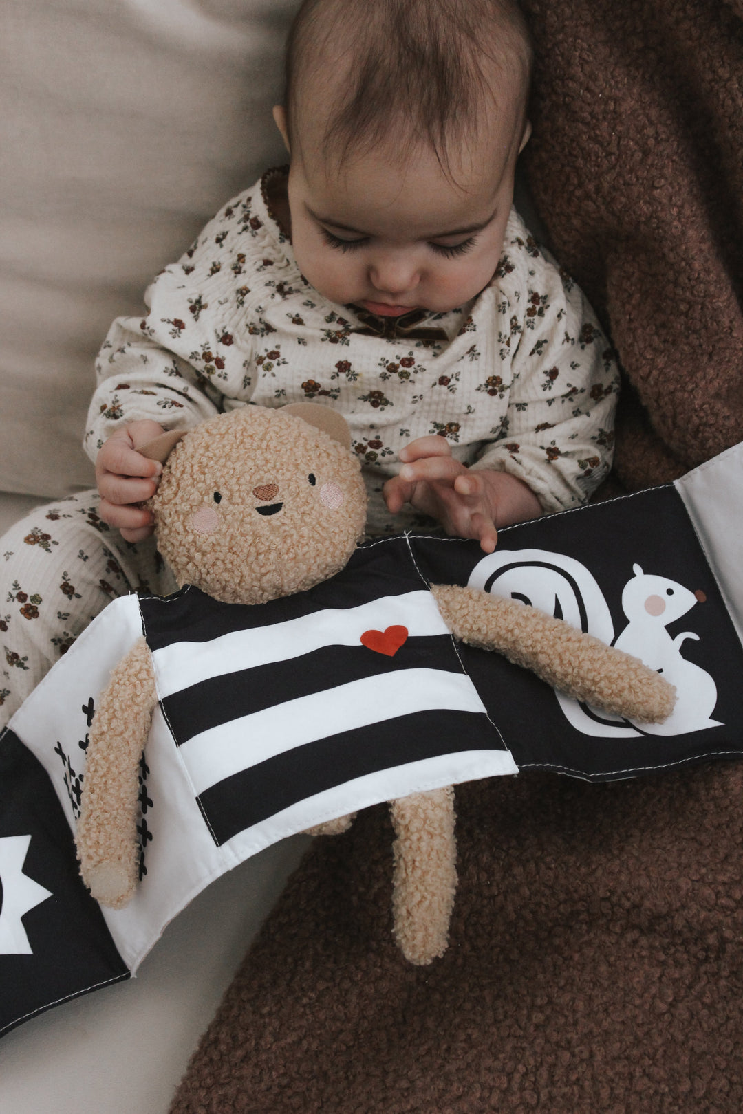 livre taf toys ourson câlin snuggle bear Mlle et Coco