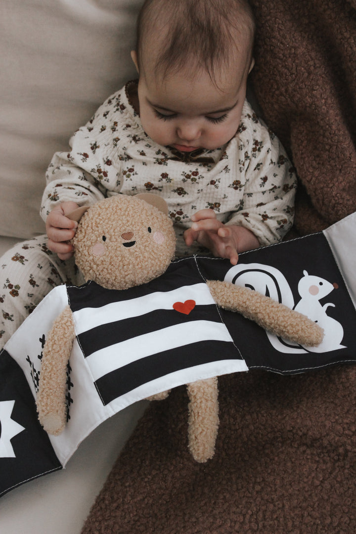 livre taf toys ourson câlin snuggle bear Mlle et Coco