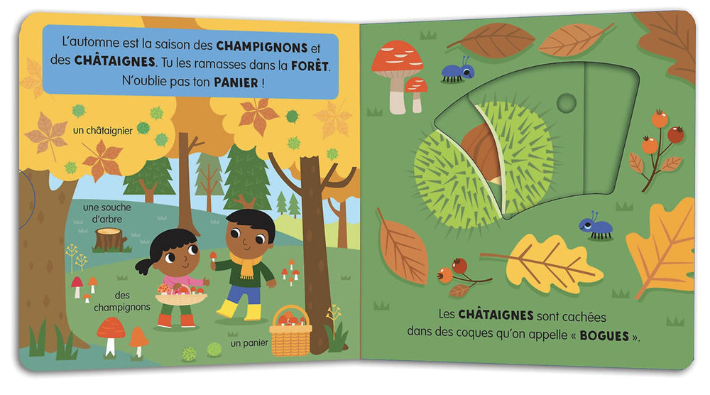 Livre Mon anim'agier l'automne Auzou Mlle et Coco