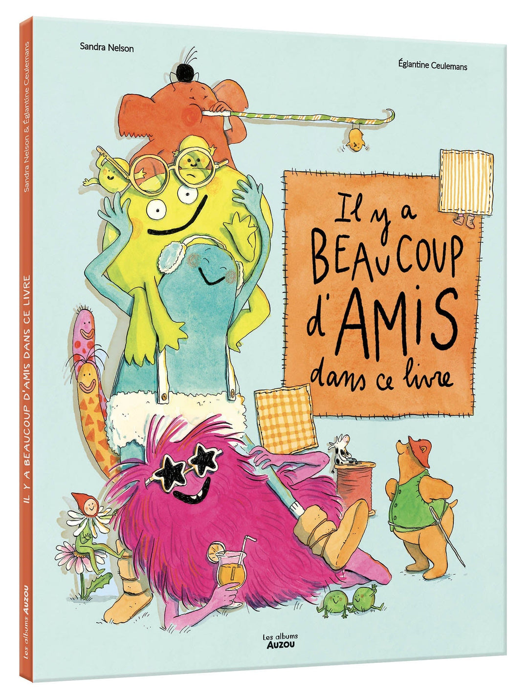 Livre Il y a beaucoup d'amis dans ce livre Auzou Mlle et Coco