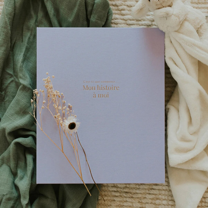 livre grossesse lilas Le petit tableau noir Mlle et Coco